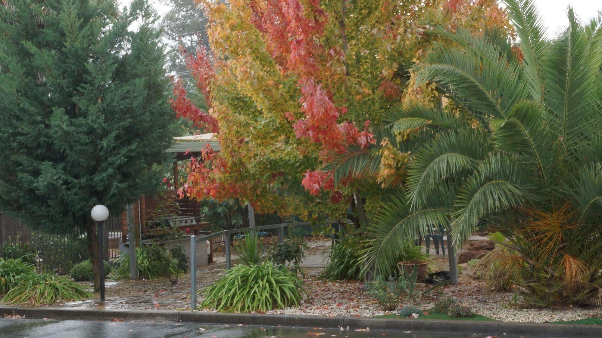 Golden Leaf Motel Myrtleford Exterior photo